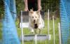 GroundDog Day 2023